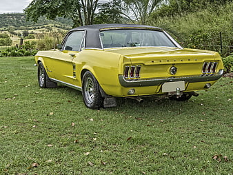 Vintage Yellow Ford Mustang Convertible on Grass
