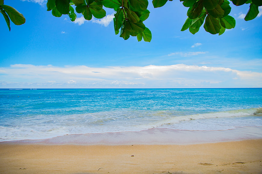Tropical Beach with Turquoise Ocean and Green Leaves