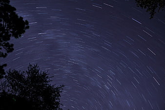 Star Trails Night Sky with Silhouetted Trees