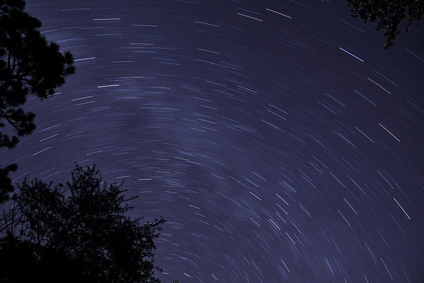 Star Trails Night Sky with Silhouetted Trees