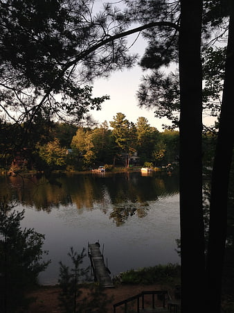 Serene Lake View Through Pine Trees at Sunset
