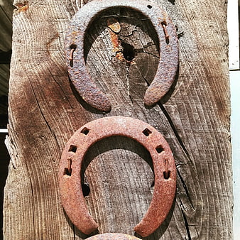 Rusty Horseshoes on Weathered Wooden Post