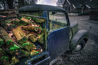 Vintage blue truck loaded with mossy firewood