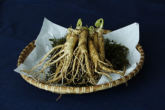 Fresh Ginseng Roots In Woven Basket On Dark Blue Background