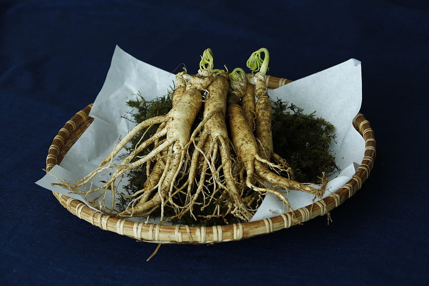 Fresh Ginseng Roots In Woven Basket On Dark Blue Background