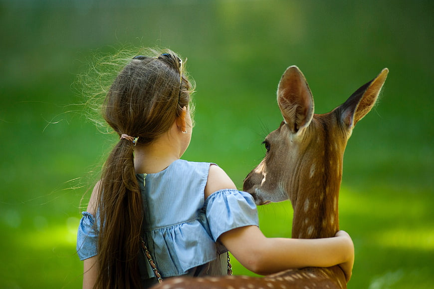 Little Girl Hugging Spotted Deer in Green Forest