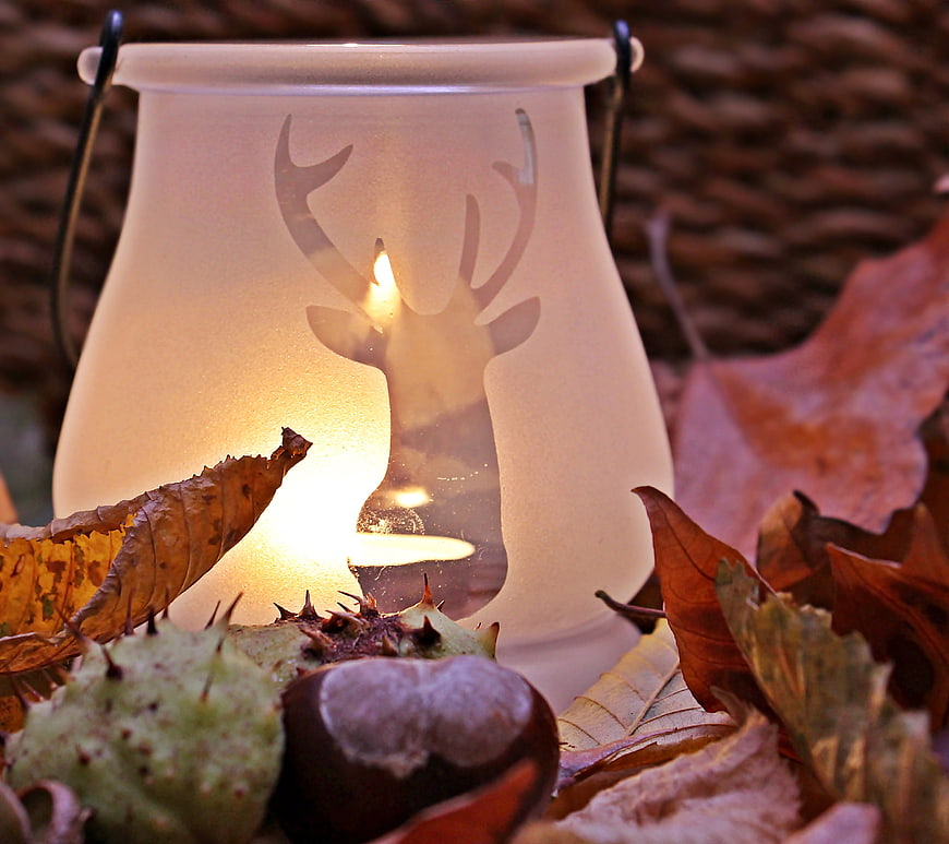 Autumn lantern with deer silhouette and chestnuts