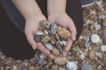 Hands holding smooth pebbles on a rocky beach