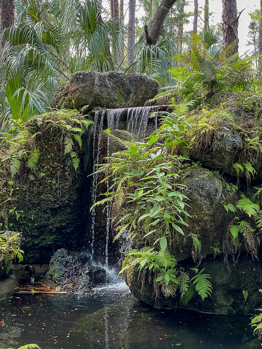Small waterfall cascading over mossy rocks in a lush forest