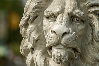 Close-up of a detailed stone lion statue head sculpture
