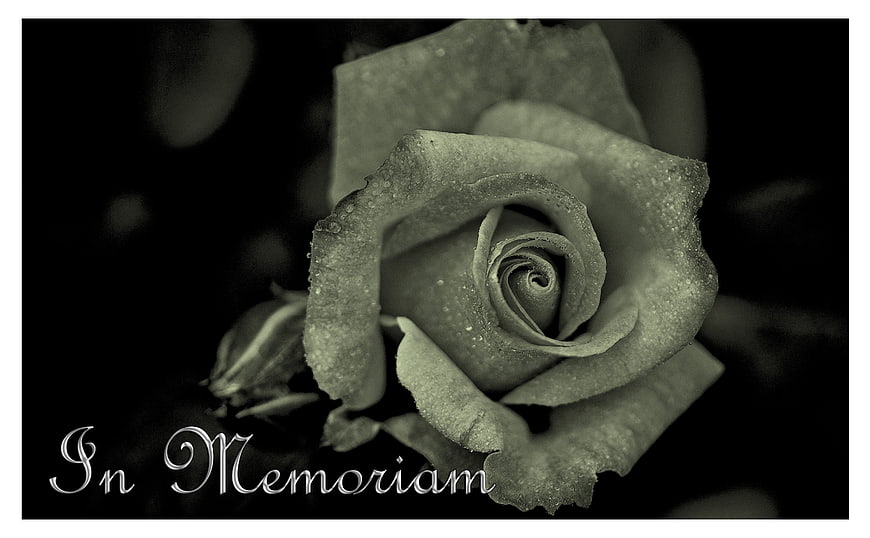 Black and White Rose Close Up With In Memoriam Text