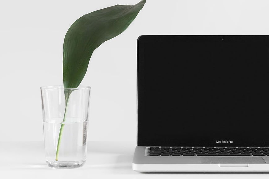 Minimalist MacBook Pro and Green Leaf in Glass of Water