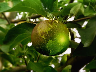 Green apple with water droplets shaped like the Earth globe