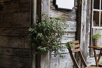 Rustic wooden exterior with potted plants and chair