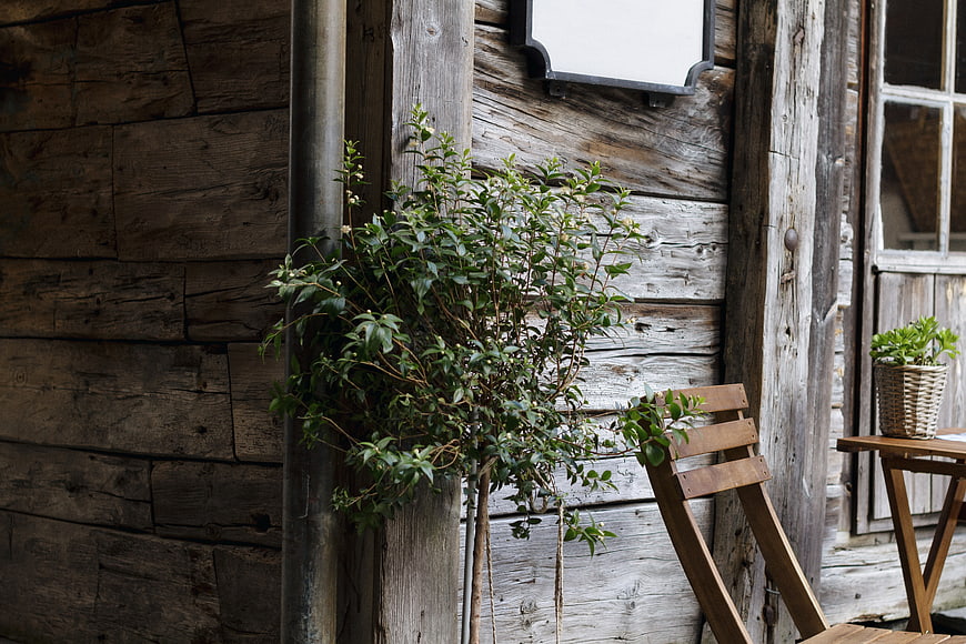 Rustic wooden exterior with potted plants and chair