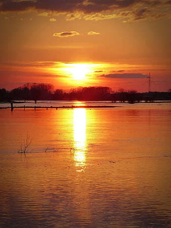Vibrant Orange Sunset Over Calm Water With Tree Silhouettes