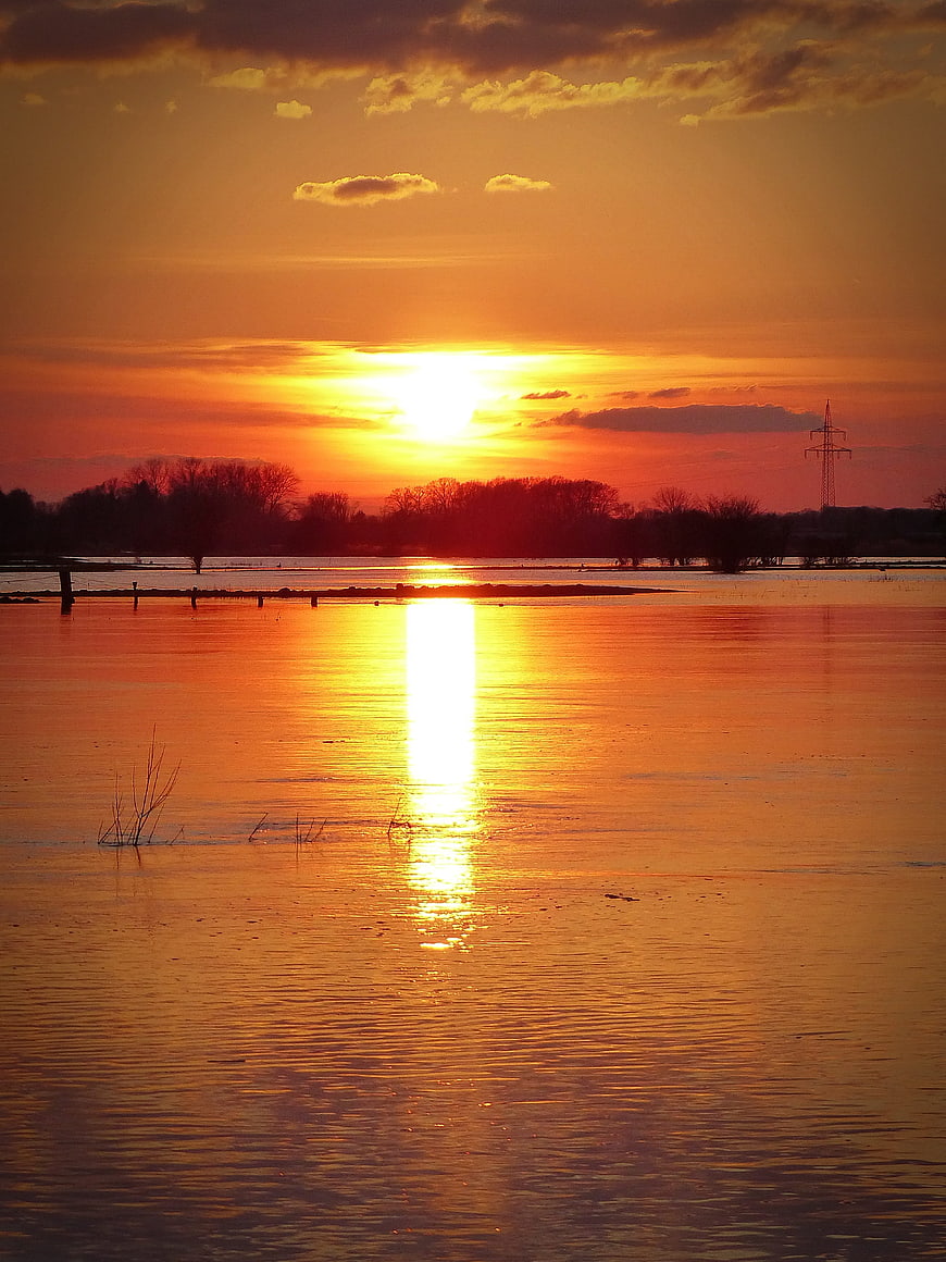 Vibrant Orange Sunset Over Calm Water With Tree Silhouettes