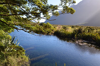 Serene Lake Landscape with Mountain Backdrop and Lush Greenery