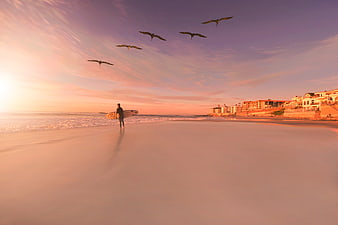 Surfer with board walking on beach at sunset with seagulls