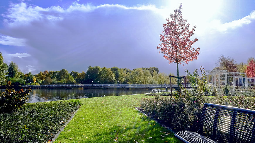 Serene Park Landscape with Lake, Bench, and Autumn Tree