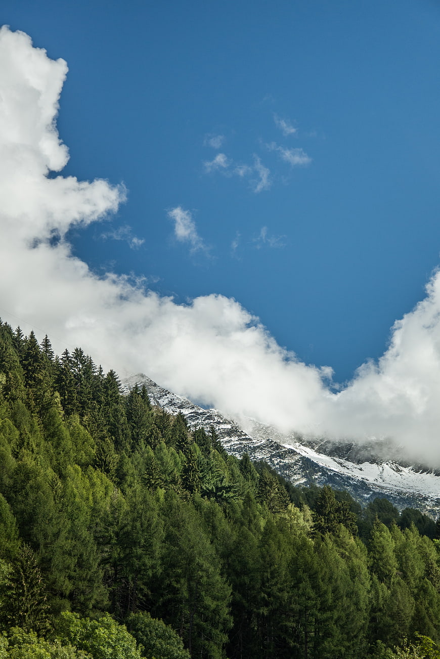 Snowy Mountain Peak with Clouds and Pine Forest