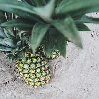 Fresh Pineapples on Sand Beach Background