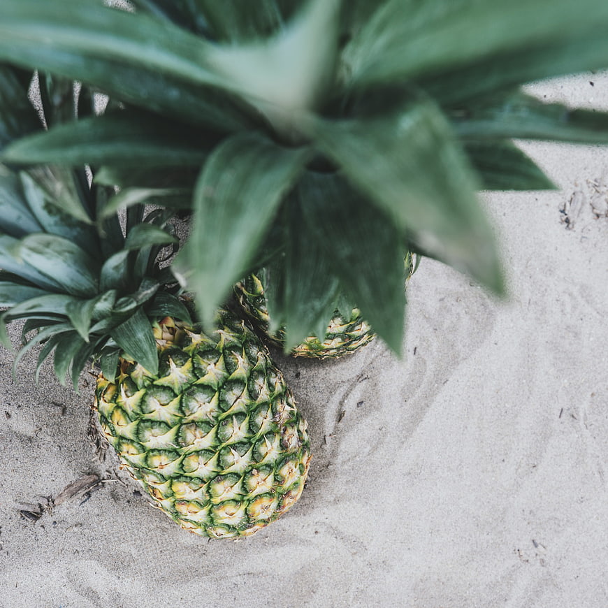 Fresh Pineapples on Sand Beach Background