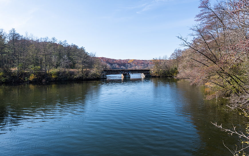 Scenic River Landscape with Bridge in Autumn Forest