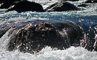 Sparkling River Rapids Flowing Over Dark Rocks