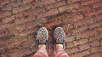 Leopard print slip-on shoes on brick pavement
