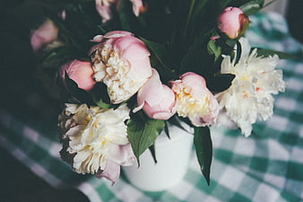 Pink and white peonies in a vase on a checkered tablecloth
