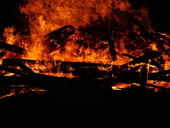 Intense Campfire Flames Burning Wood Logs at Night