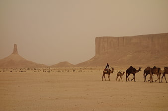 Camel caravan crossing vast desert landscape with distant rock formations