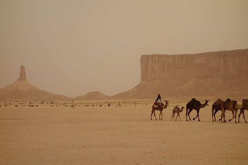 Camel caravan crossing vast desert landscape with distant rock formations