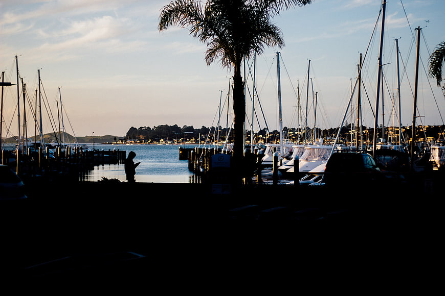 Silhouette of marina with sailboats and palm tree at dusk
