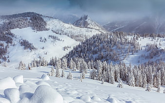 Snowy Mountain Landscape with Pine Forest and Foggy Peaks