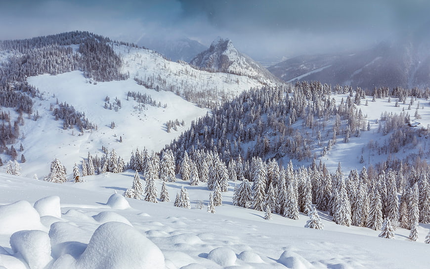 Snowy Mountain Landscape with Pine Forest and Foggy Peaks