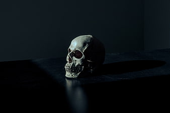 Dramatic Skull on Dark Table with Spotlight