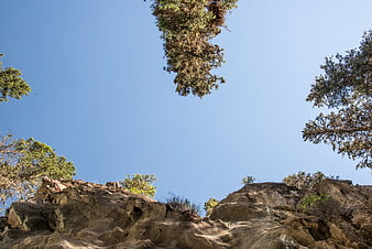 Low angle view of rocky cliff and trees against blue sky