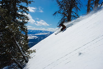 Skier carving through powder on a sunny mountain slope