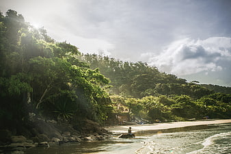 Lone figure sitting on tropical beach with lush forest backdrop
