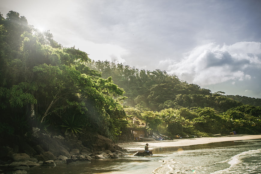 Lone figure sitting on tropical beach with lush forest backdrop