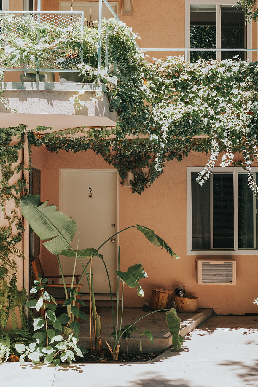 Sunny Apartment Entrance with Lush Green Plants and Ivy