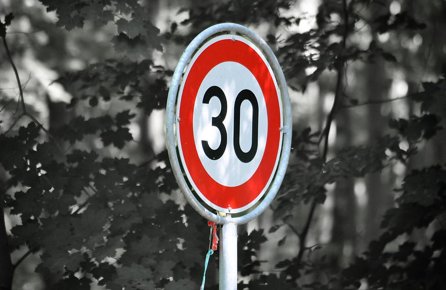 Speed Limit 30 Traffic Sign In Forest