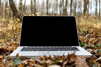 Laptop on Forest Floor with Autumn Leaves
