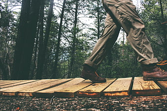 Hiker Walking on Wooden Planks in Forest