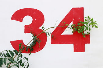 Red Number 34 on White Wall with Green Plant