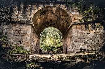 Man jumping under historic stone arch bridge in forest