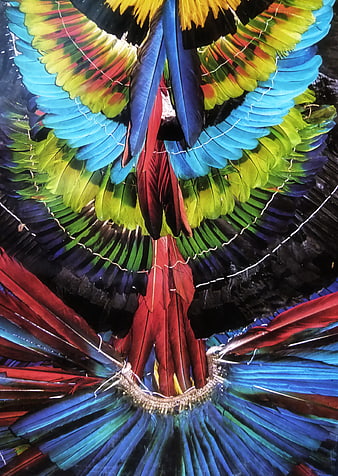 Vibrant Indigenous Feathered Headdress Detail