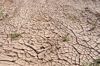 Cracked dry earth texture with drought and global warming concept